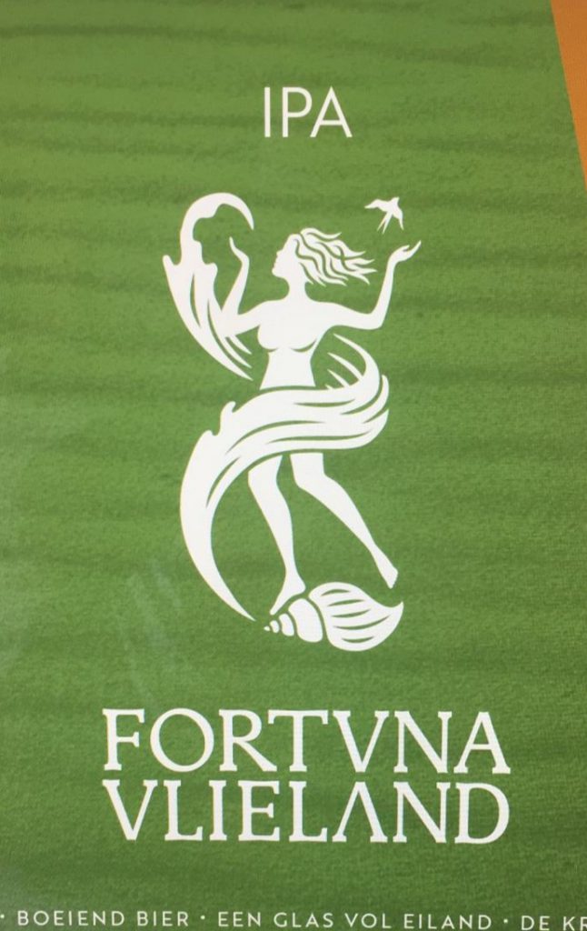 logo Fortuna